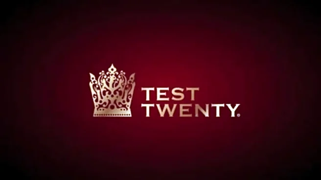 Test Twenty Championship: What is the Fourth Format in Cricket backed by AB de Villiers, Harbhajan Singh and Others? All You Need To Know