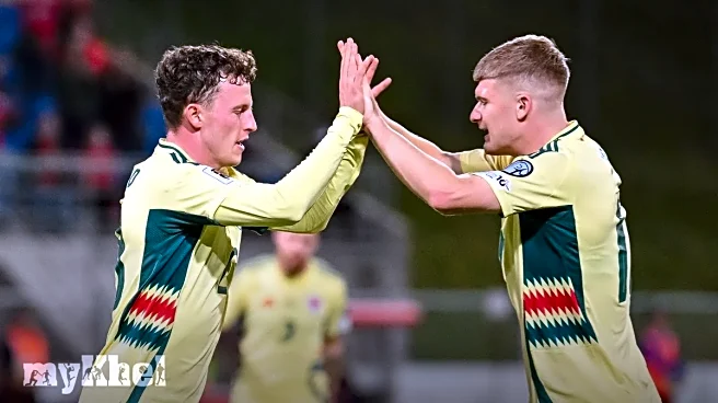 Wales Secures Narrow 1-0 Victory Over Liechtenstein To Maintain World Cup Play-off Aspirations