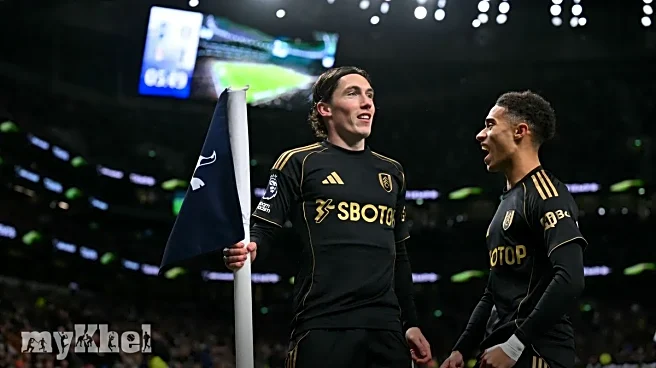 Tottenham Faces Defeat As Harry Wilson's Goal Secures Fulham's 2-1 Victory