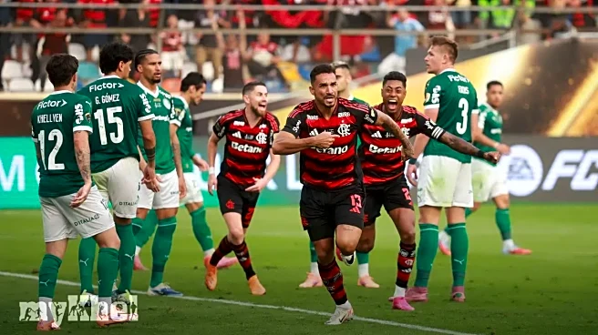 Flamengo Triumphs Over Palmeiras 1-0 To Secure Fourth Copa Libertadores Title