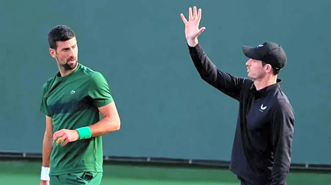 Murray admits coaching stint with Djokovic was a disappointment