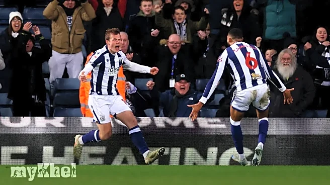West Brom Defeats Sheffield United 2-0 As Aune Heggebo Shines In Championship Match
