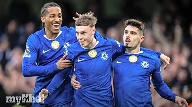 Chelsea Triumphs 2-0 Over Everton With Goals From Palmer And Gusto To End Winless Streak