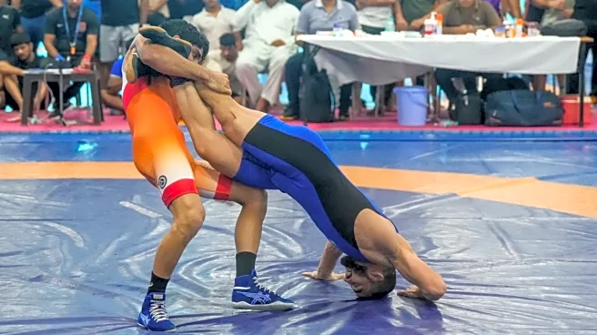 PWL 2026 Auction on January 3: Venue, Timing, Star Wrestlers & Base Prices, Live Streaming - All You Need To Know