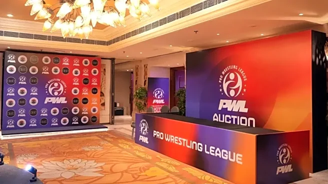PWL Auction: Full List of Sold Players in Pro Wrestling League of All Teams