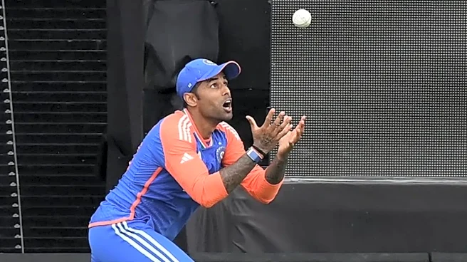 T20 World Cup: Top 10 Most Catches By A Player In Tournament's History- Only 1 Indian In List