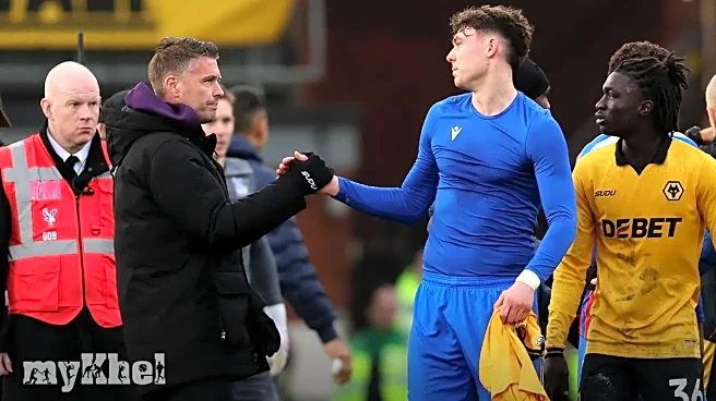 Strand Larsen Emphasises Forward Step After Difficult Wolves Exit Ahead Of Crystal Palace Move