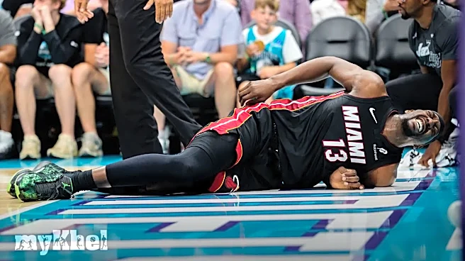 Ball Trip Ejection Debate Dominates Heat Hornets Play-in Drama
