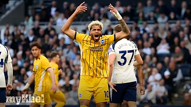 Brighton Eyes Europe After Draw With Tottenham As Rutter Shines Off Bench