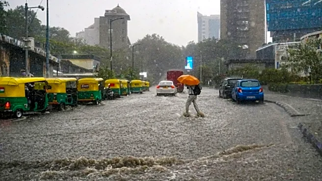 Rare Bengaluru Hailstorm Brings Out Cricket Legend's Inner Child, Video Goes Viral