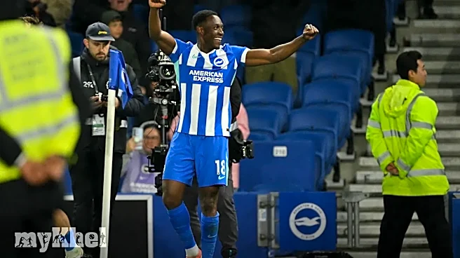 Welbeck World Cup Call-up Edging Closer After Brighton Form, Says Hurzeler