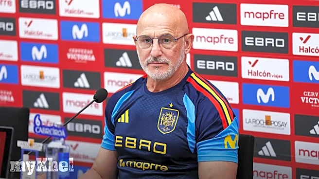 Spain World Cup 2026 Hopes Echo 2010 Triumph Under De La Fuente