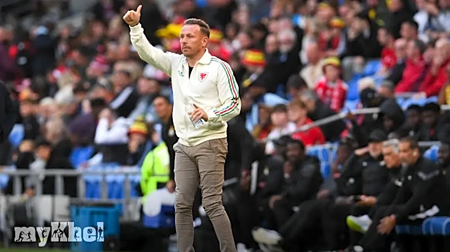 Craig Bellamy Remains Committed To Wales After Burnley Move Falls Through, FAW Confirms