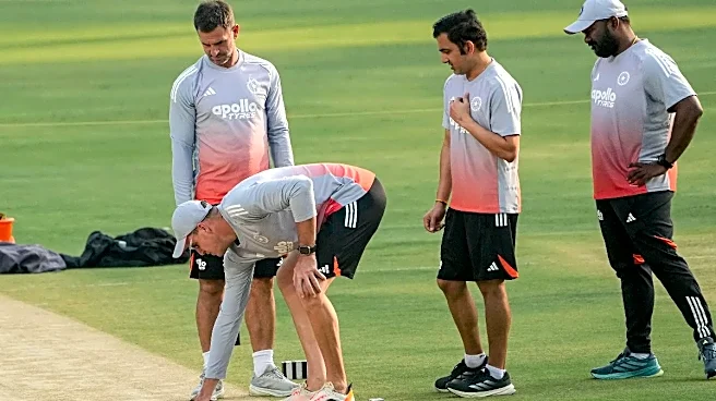 Ryan ten Doeschate, Morne Morkel Futures Uncertain as BCCI Reviews Gambhir Support Staff: REPORT