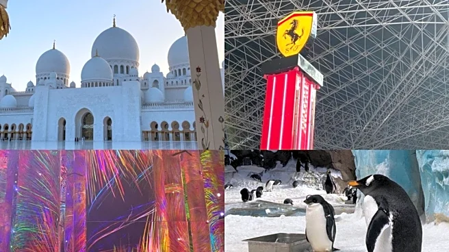 Yas Island Perfect Itinerary: What To Do, Where To Stay, When To Go To Abu Dhabi's Playground?
