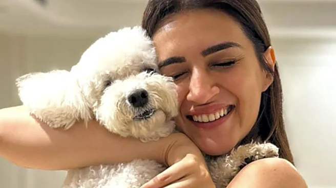 Simple Ways To Make This Diwali Paw-Fect For Your Pets