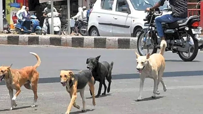 Muzzling The Chaos: Supreme Court Set For Crucial Hearing On National Stray Dog Policy This Monday
