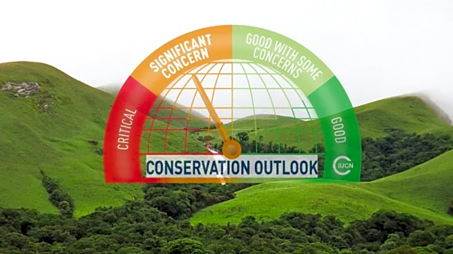 Why The Western Ghats Are On IUCN’s Watchlist And Why You Should Care