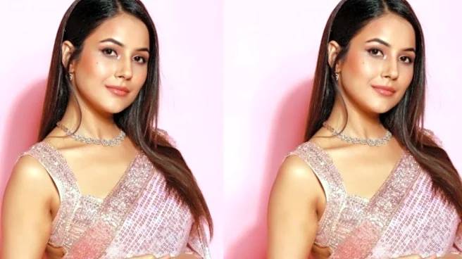 Bigg Boss 19: Shehnaaz Gill Reacts To Shehbaaz Badesha Being Taunted For Being Dependent On Her