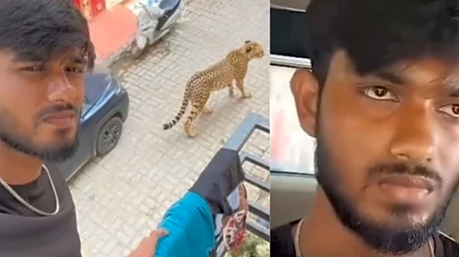 Lucknow Man Adds ‘Leopard’ With AI, Shares ‘Near My House’ Photo. But Eagle-Eyed Desis Spot ‘Big Error’ — Can You?