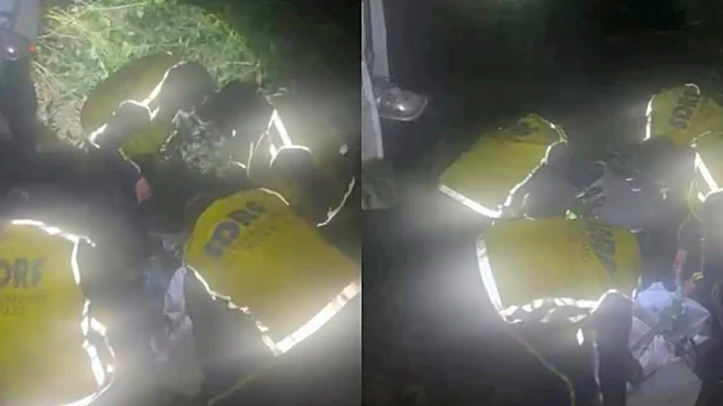 At Least 2 Dead, 16 Injured After Tempo Plunges Into Gorge Near Nainital