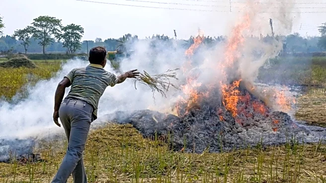 Smoke Signals Of Change: As Punjab, Haryana Farmers Slash Stubble Burning, Will Delhi-NCR Breathe Easy?