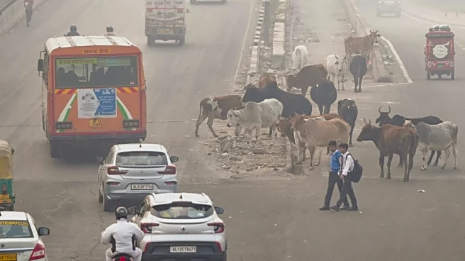 As Delhi Chokes, Parents Say Children Facing Health Issues, Schools Say 'Taking Precautions'