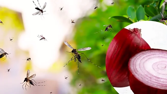 Homemade Onion Lamp: The Quickest Way To Drive Mosquitoes Away!