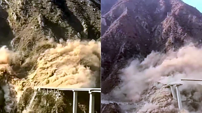 Newly Opened Bridge Breaks Into Two In Southwest China | Watch