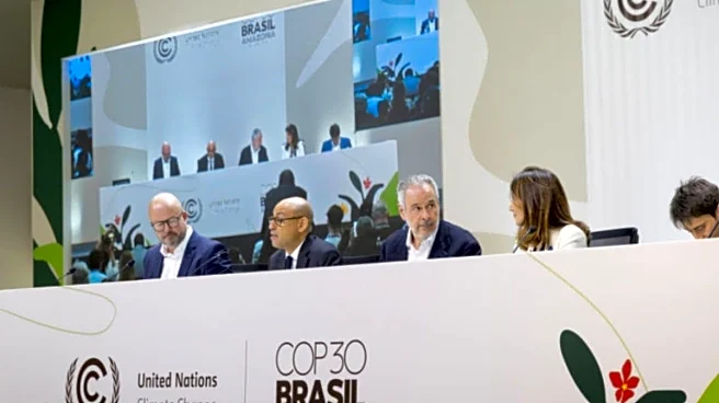 India Urges 15-Fold Increase In Adaptation Finance As COP30 Opens In Belém
