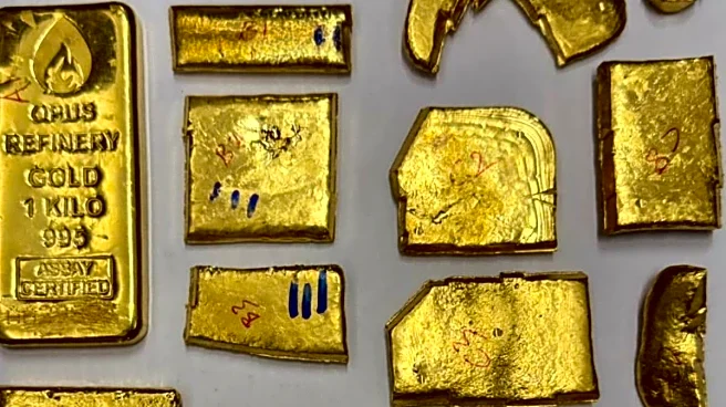 Op Bullion Blaze: Gold Smuggling And Melting Syndicate In Mumbai Foiled By DRI; 11 Arrested