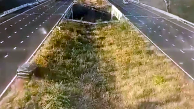 5 Dead As Speeding Car Crashes Through Barrier, Falls Into Ditch On Delhi–Mumbai Expressway