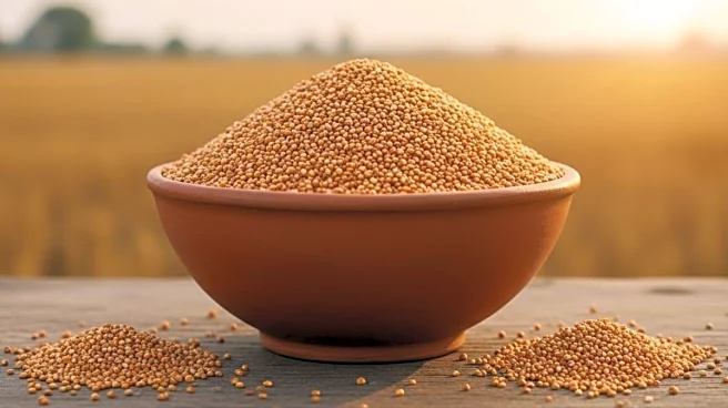 6 Grains You Must Eat In Winter For Better Immunity And Natural Warmth