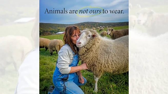 PETA’s ‘Wool Belongs To Sheep’ Campaign Gets Flagged On X, Here’s Why