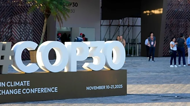 Cop30 Participants Include 300 Agriculture Lobbyists Responsible for Most Global Emissions: Report