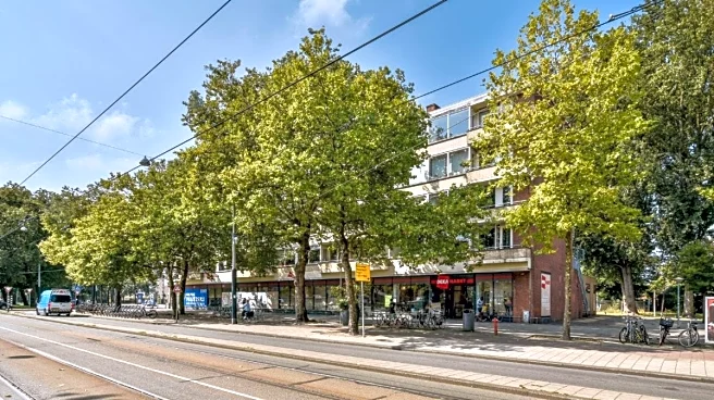 The Secret Life Of City Trees And Why They Are Dying Decades Earlier