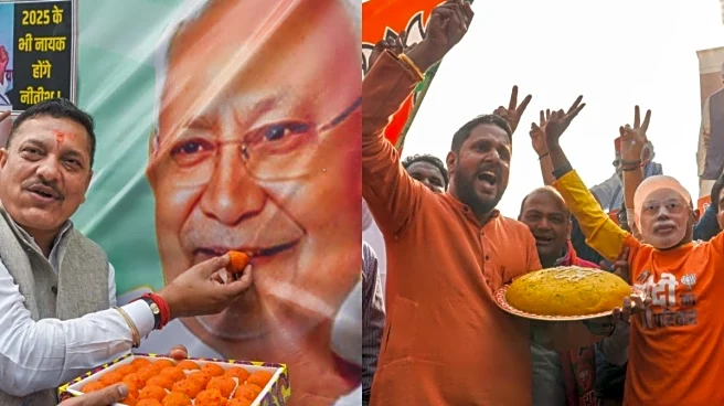 Bihar Numbers Decoded: 4 In 5 Candidates Failed To Cross 10% Vote Share, Half Secured Under 1%