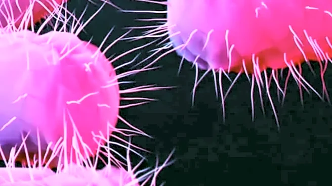 The Silent Pandemic: Why India Is Most Vulnerable And What's The Plan