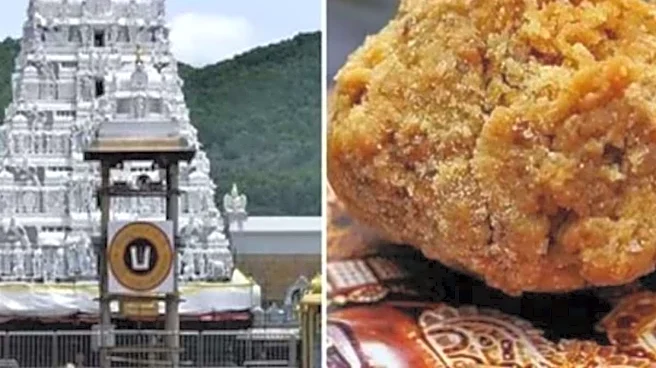 20 Crore Tirupati Laddoos Made With Adulterated Ghee Between 2019–24, Says Official