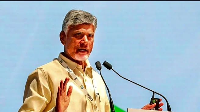 Andhra CM Naidu Projects India As World's No. 1 Economy By 2047, Calls For Telugu Leadership