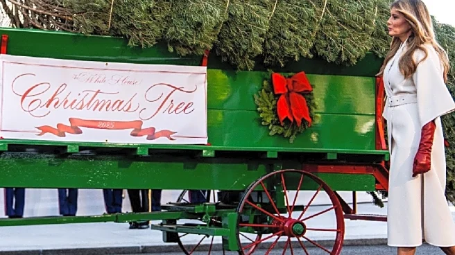 ‘Beautiful Tree’: US First Lady Melania Trump Receives Christmas Tree For White House | Watch