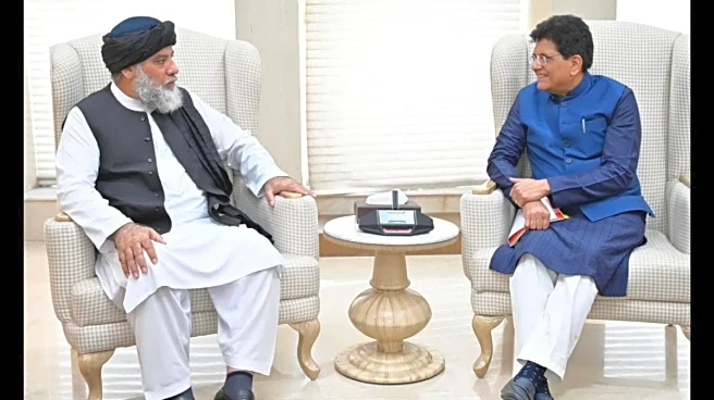 ‘India A Huge Market, Must Restore Our Full Partnership’: Afghan Minister Bats For Deeper Trade Ties