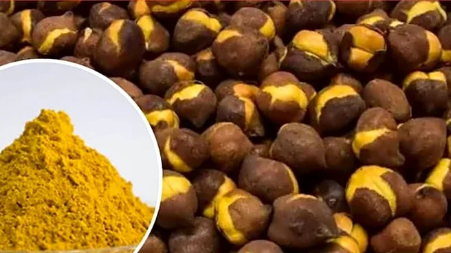 Auramine Found In Roasted Chana Can Give You Cancer | How To Check For It