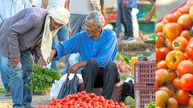 Tomato Rates Climb To Rs 100 Per Kg In Bengaluru, Households Feel The Pinch