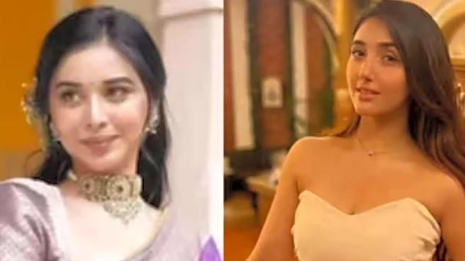 Bigg Boss 19: Is Ashnoor Kaur Evicted For Hitting Tanya Mittal? What We Know