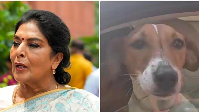 'What's The Harm': Congress MP Renuka Chowdhury Brings Pet Dog To Parliament, Sparks BJP Outcry