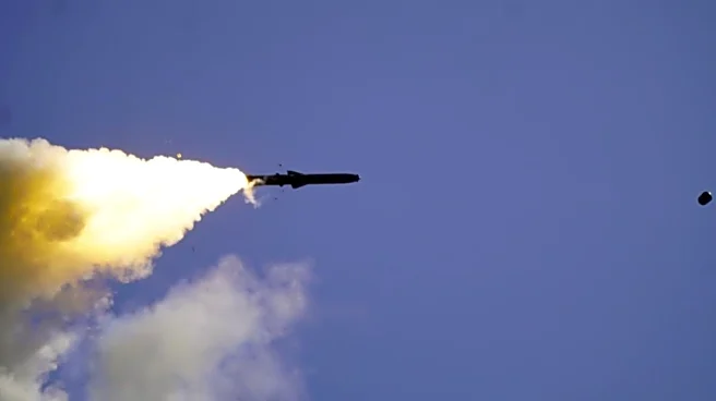 'Destructive Prowess': Indian Army Test-Fires BrahMos Missile, Hits Target With Precision