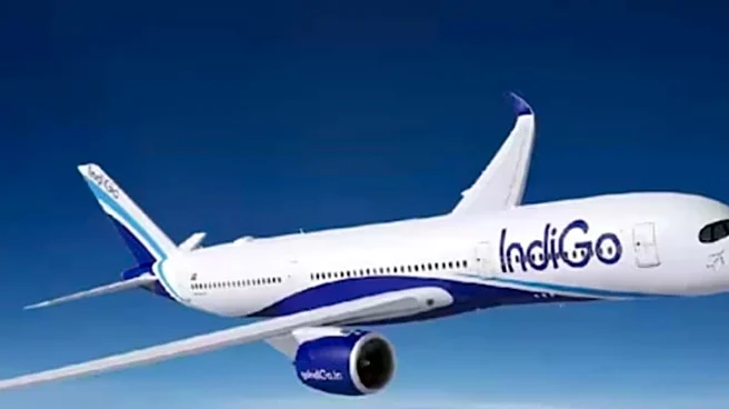 ‘Can I Take IndiGo To Consumer Court?’: Chandigarh Man, All Set To Propose In Singapore, Ends Up Paying Rs 80K More