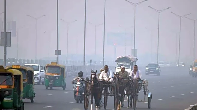 Cold Wave Warning From December 9; Minimum Temperatures Likely To Drop In Northwest India