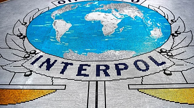 Goa Club Owners Under Interpol Scanner After Thailand Escape: A Guide To Blue, Red & Other Notices